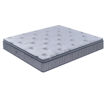 Hot Selling Good Quality Classic Design Hot Sell Hot Quality Fashionable Design Foam Mattress